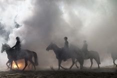 Holandská kavaléria