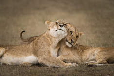 S objatím je každý deň krajší.