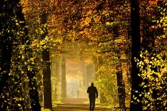 Jesenná prechádzka