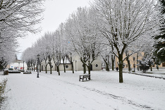 Dnes napadol prvý sneh :)