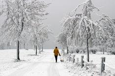 Kedy príde zima už aj k nám?