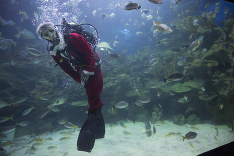 V Malajzii oslavujú príchod Vianoc netradične.