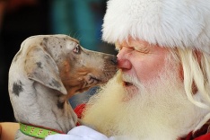 Čo si pod stromčekom našiel Santa Claus?