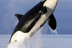 Prajeme krásne ráno :)