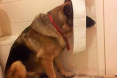 Ani Vám sa nič nechce? Tak sa inšpirujte napríklad hrou na skrývačku