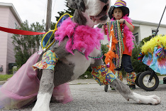 Zvieratá sa chystajú na svoj vlastný festival