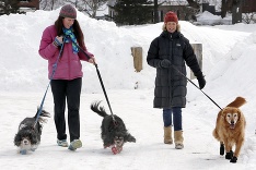 Aj psíkovia sa radi parádia