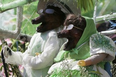 Najštýlovejšie pečené prasatá