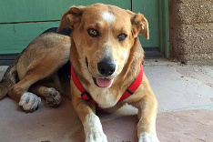 Sunny sa teší dobrému zdraviu.