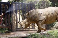 Aj zvieratká sa potrebujú v tomto teple schladiť