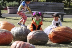 Halloween v Japonsku