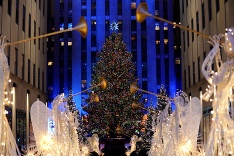 Vianočný stromček 