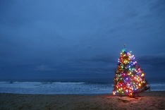 Vianočný stromček na pláži