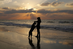 Prechádzka po pláži