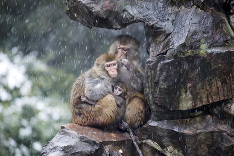 Poriadne mrzne aj v Číne