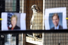 Jastrab si zvolil prezidenta