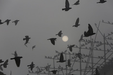 Nepál zahalil temný tieň zemetrasenia.