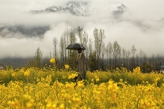 Nádherná perspektíva