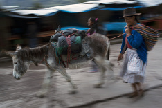 Voľby v Peru tak trochu inak