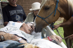 Paralyzovaní veterán si želal vidieť svojho koňa.