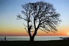 Podvečer v Uruguaji