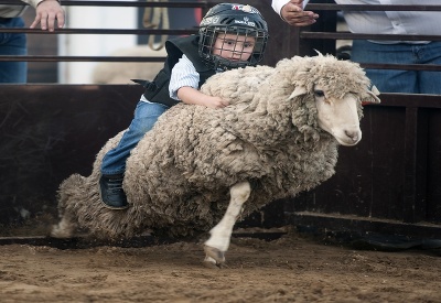 Kuriózne rodeo