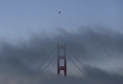 Orol v San Franciscu