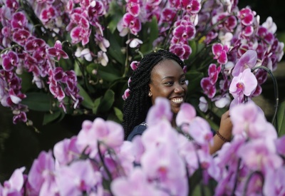 Kráľovská botanická záhrada Kew 