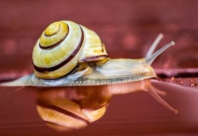 Pomaly ďalej zájdeš