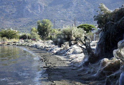 Strašidelné pobrežie