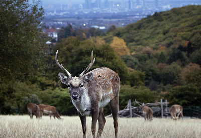 Keď je fotograf v správny čas na správnom mieste