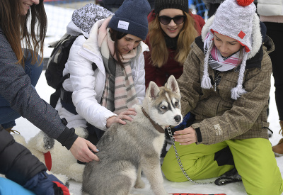 Ňuňu, aký si rozkošný! Pohladíme ťa, dobre? Ňuňu, aký si rozkošný! Pohladíme ťa, dobre?