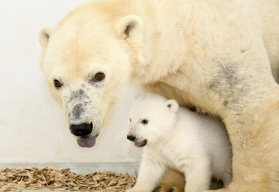 Malý sniežko s maminou