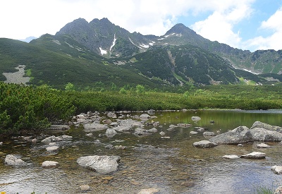 Naše veľhory