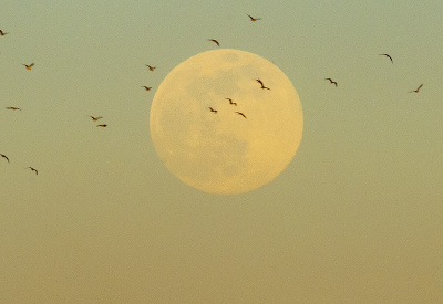 Supermesiac roka 2020