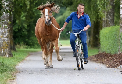 Kto bude doma prvý?