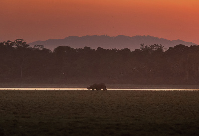 Čas na večernú prechádzku