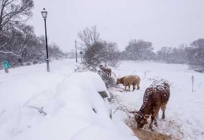 Brrr, to je zima