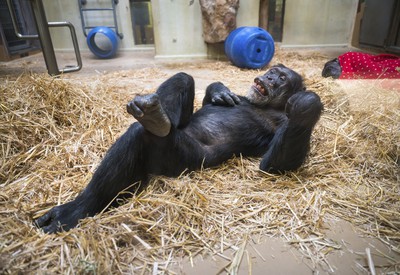 Nerušiť, relaxujem! Nerušiť, relaxujem!