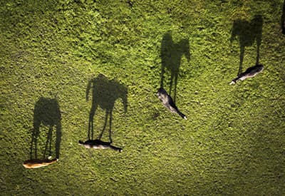 Žiadne predbiehanie!