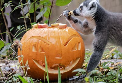 Mňam, to je ale dobrota!