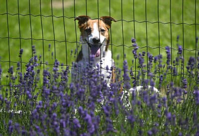 Každý deň s úsmevom na tvári