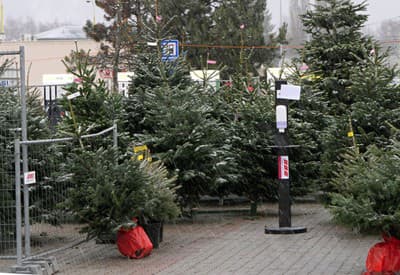 A vy už máte ten svoj? 