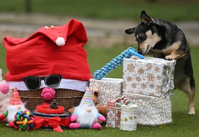 Ktorý si rozbalím ako prvý? 