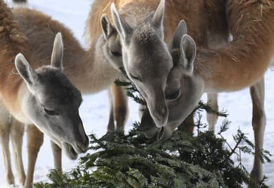 Nechaj niečo aj pre mňa!