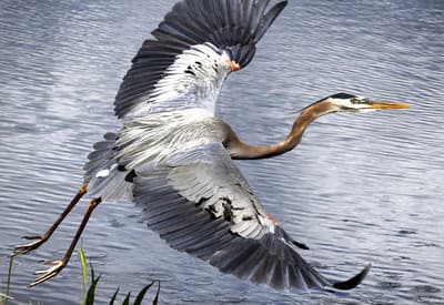 Pripravená na výlet