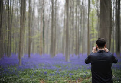 Začala jar! Prví turisti zbierajú zvončeky