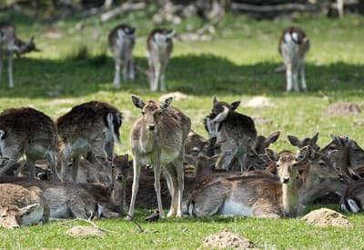 Oddychu nie je nikdy dosť