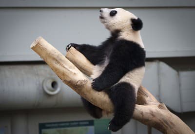 Aký je svet krásny!