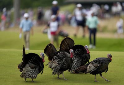 Nás si nevšímajte...